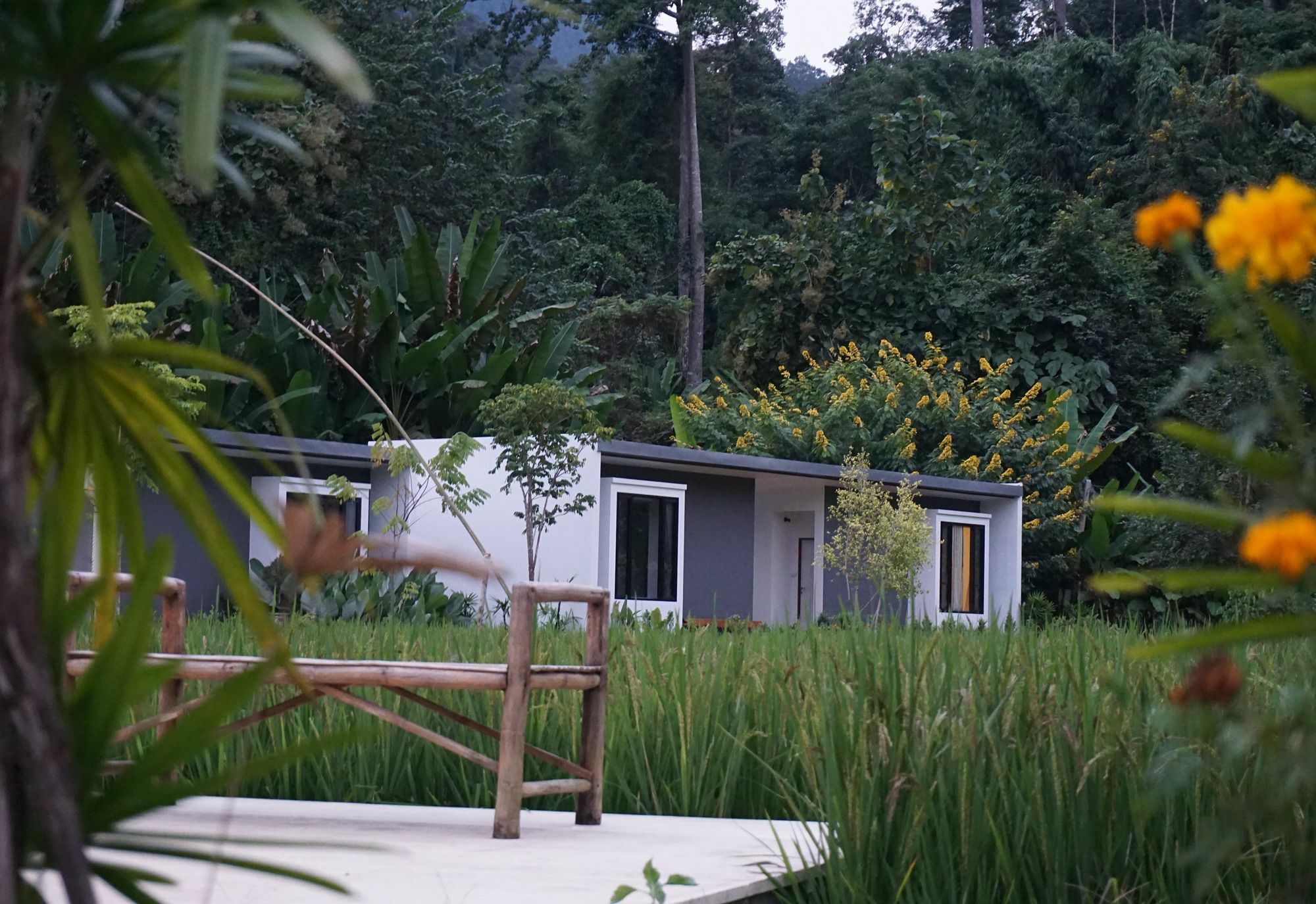 Villa De View Чианг Дао Екстериор снимка
